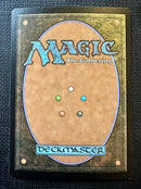 Plains (250) - Full Art **Artist Signed** FOIL [Amonkhet]