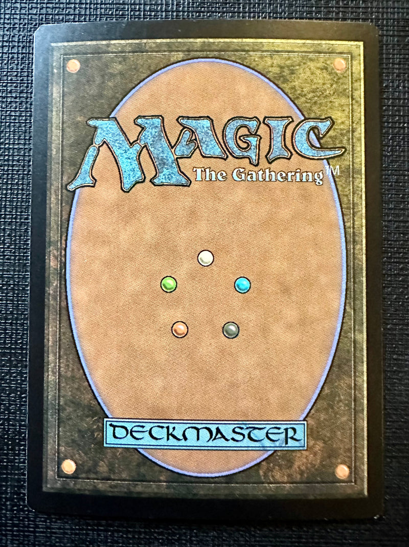 Plains (250) - Full Art **Artist Signed** FOIL [Amonkhet]