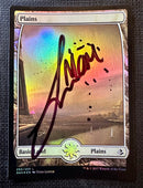Plains (250) - Full Art **Artist Signed** FOIL [Amonkhet]