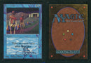 Time Walk **Artist Signed** [Limited Edition Beta]