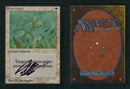 Green Ward [Limited Edition Alpha] **Artist Signed**