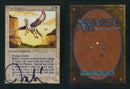 Mesa Pegasus [Limited Edition Alpha] **Artist Signed**