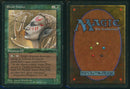 Elvish Hunter (Anson Maddocks) [Fallen Empires] **Artist Signed**