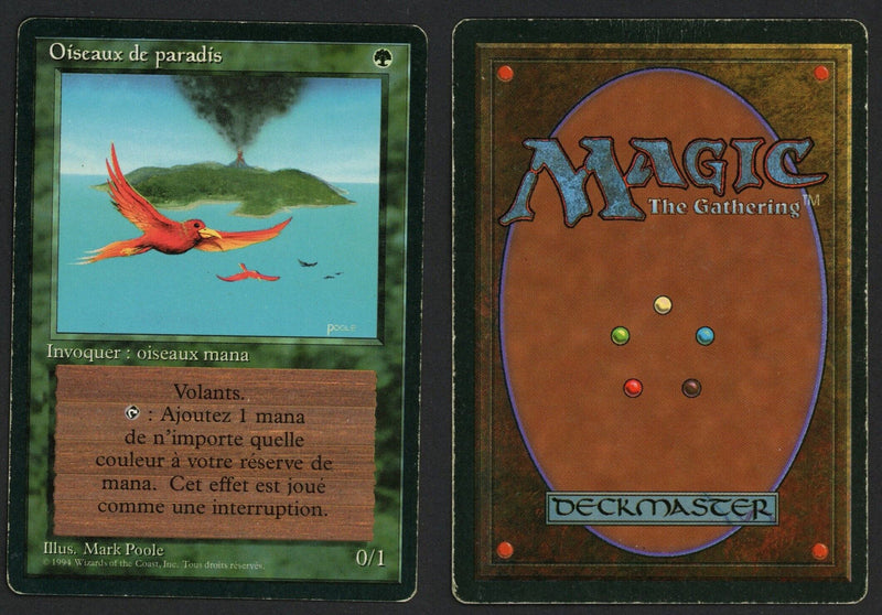 French Birds of Paradise [Foreign Black Border]