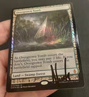 Overgrown Tomb [Zendikar Expeditions] **Artist Signed**