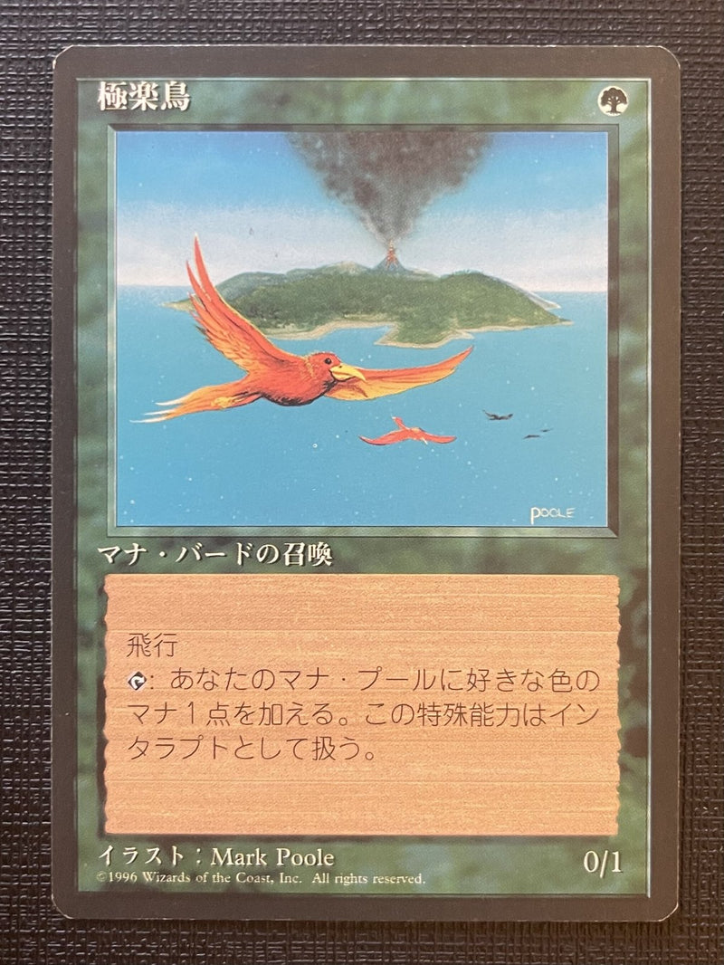 Japanese Birds of Paradise [Fourth Edition Foreign Black Border]