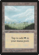 Plains (B) [Limited Edition Beta] **Artist Alter**