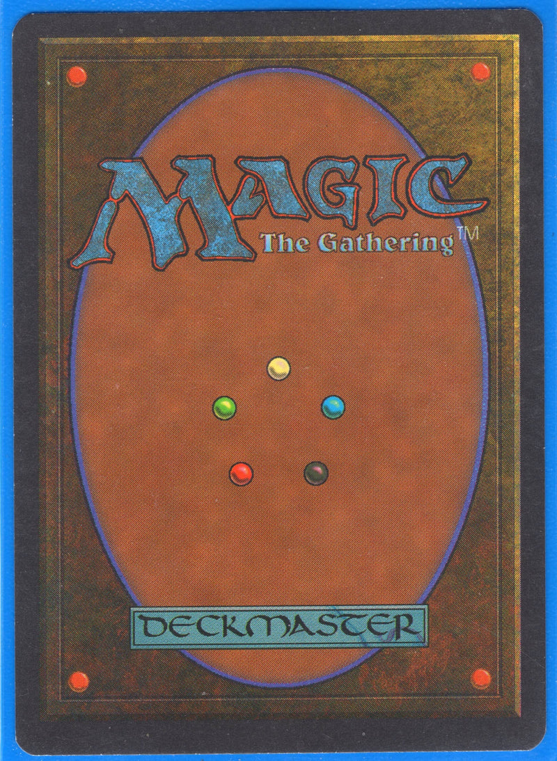 Forest (A) [Revised Edition] **Alter**