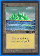 Plains (A) [Limited Edition Beta] **Artist Alter**