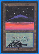 Island (C) [Limited Edition Beta] **Artist Alter**